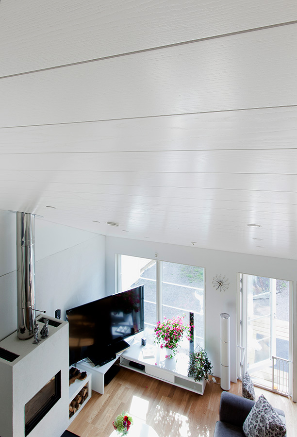 Sisustettu lomamökki ylhäältä käsin