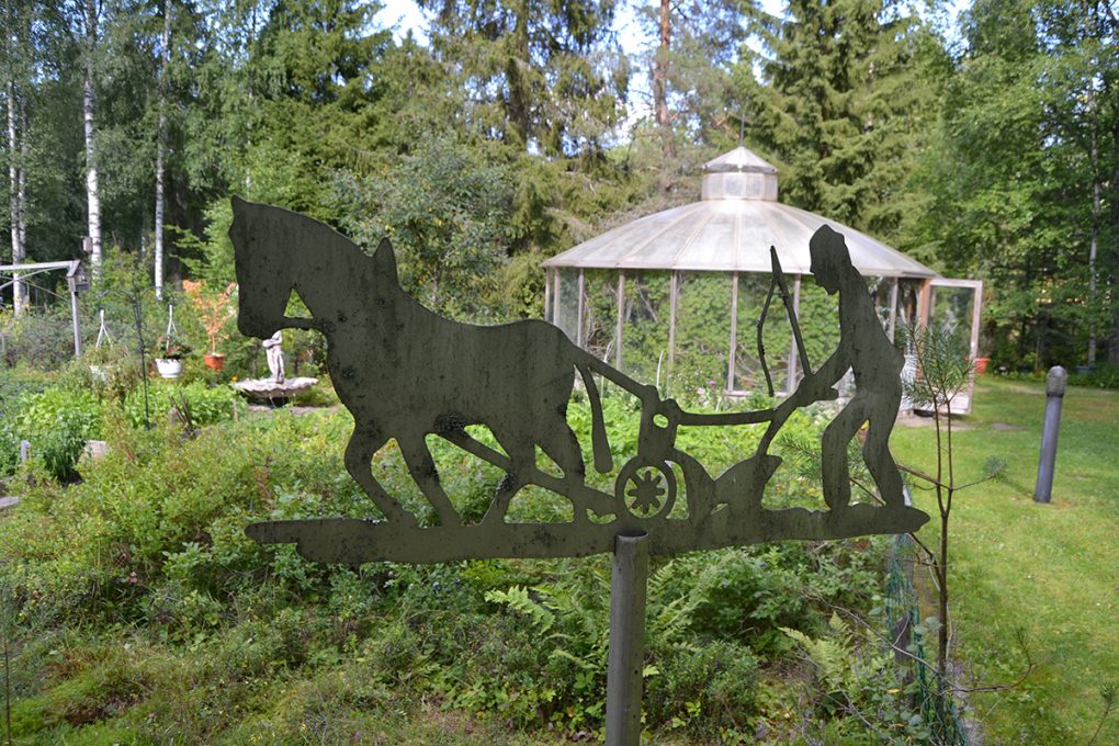 Veneskosken hedelmäpuutarha