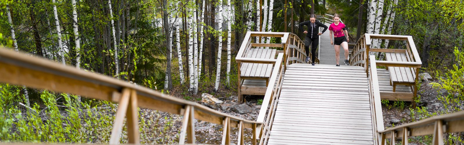 Joupiskan elämysportaat