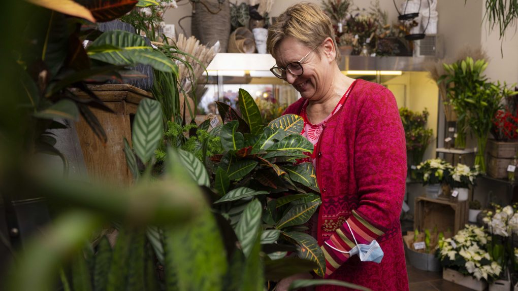 kukkakauppias Sinikka Rautaruusu