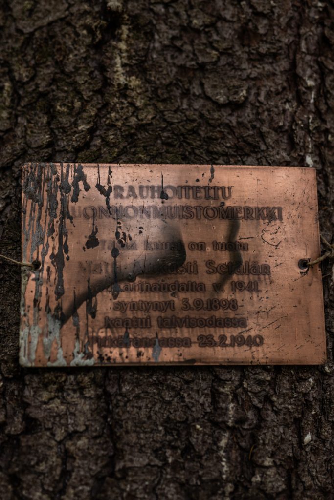 Matti Setälä sankarivainajan muistomerkki, muistokuusi Lapua