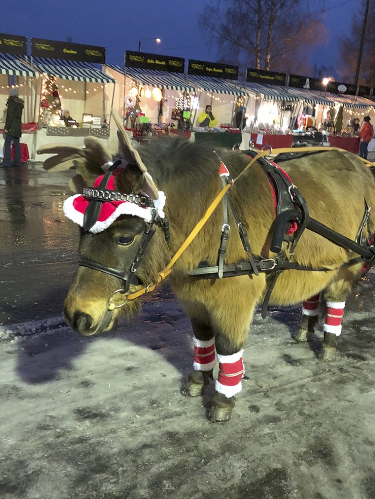 Iisakin Joulumarkkinat Kauhavalla