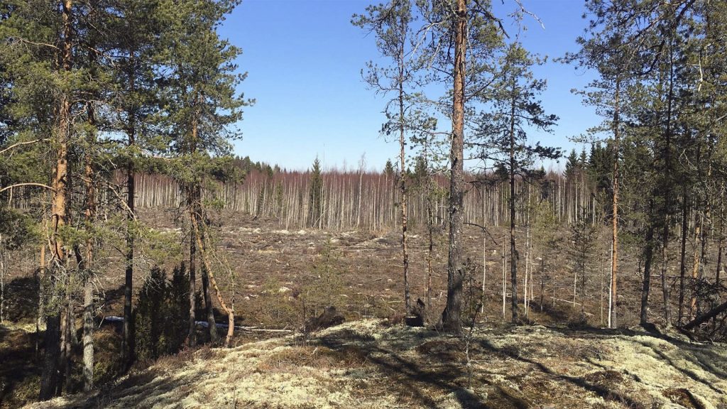 Hallilanvuori Seinäjoki