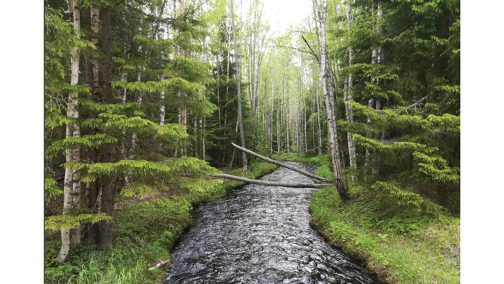 Pajuluoma Seinäjoki